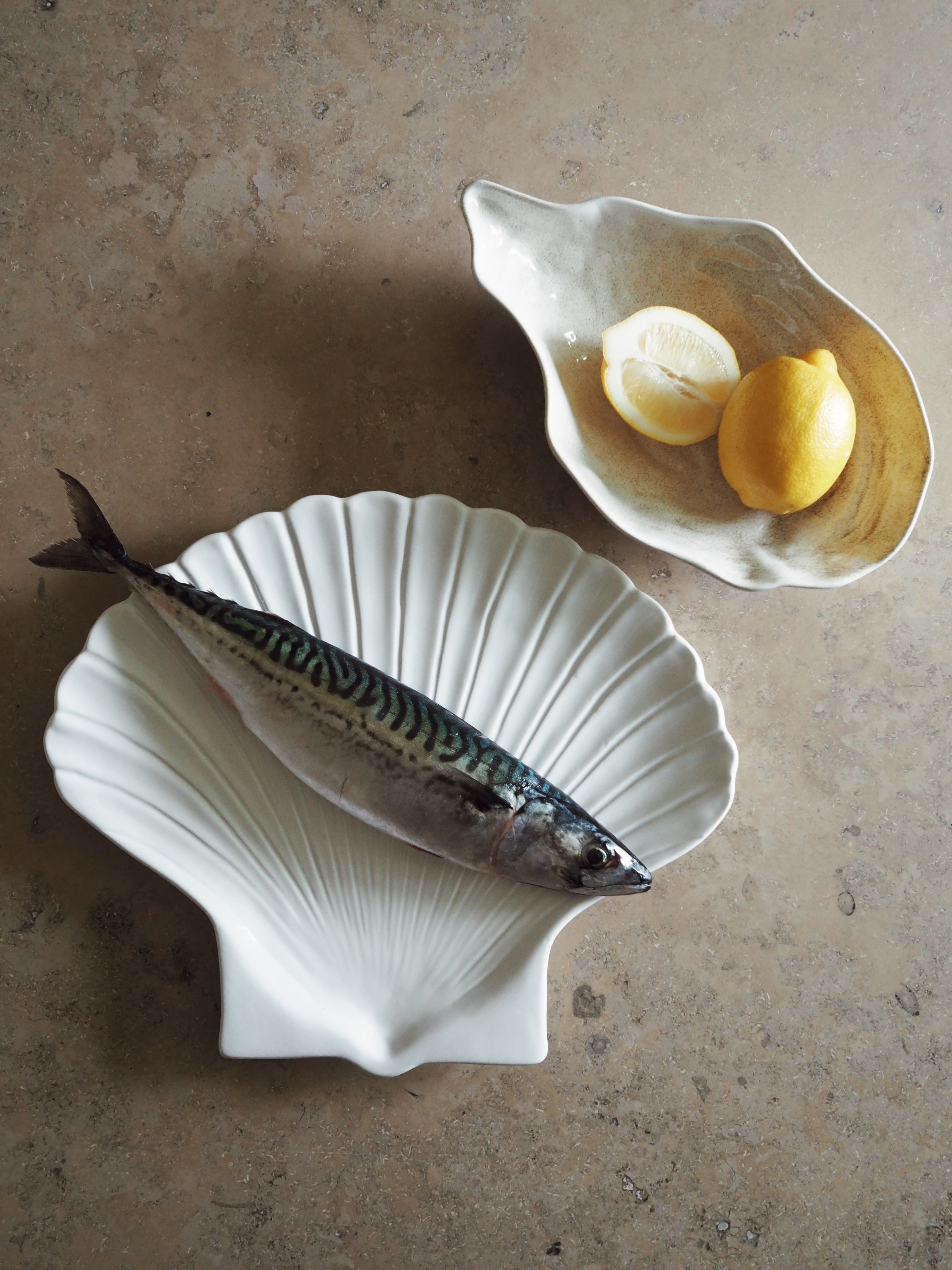 ByOn Plate Shell XL