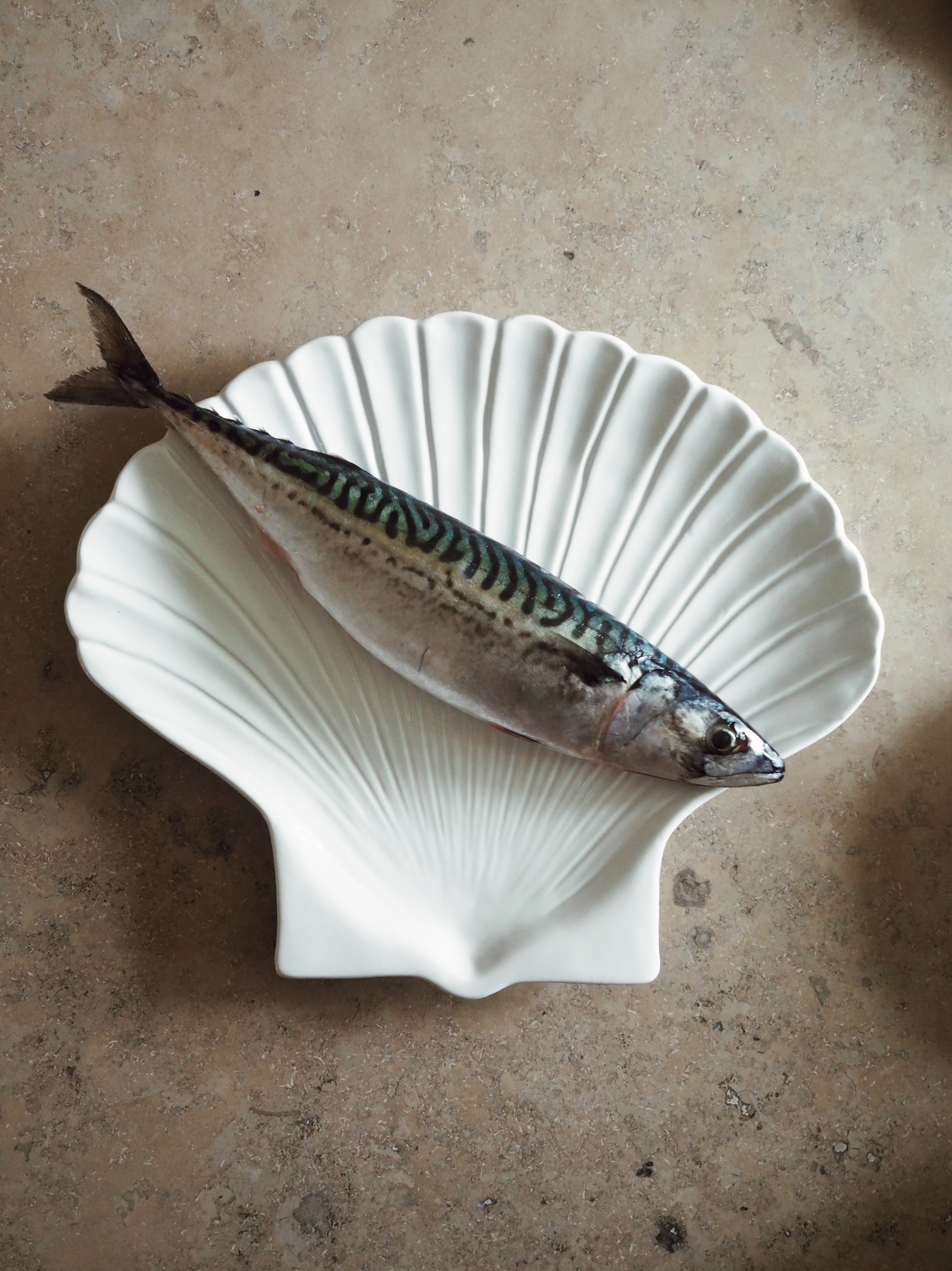 ByOn Plate Shell XL