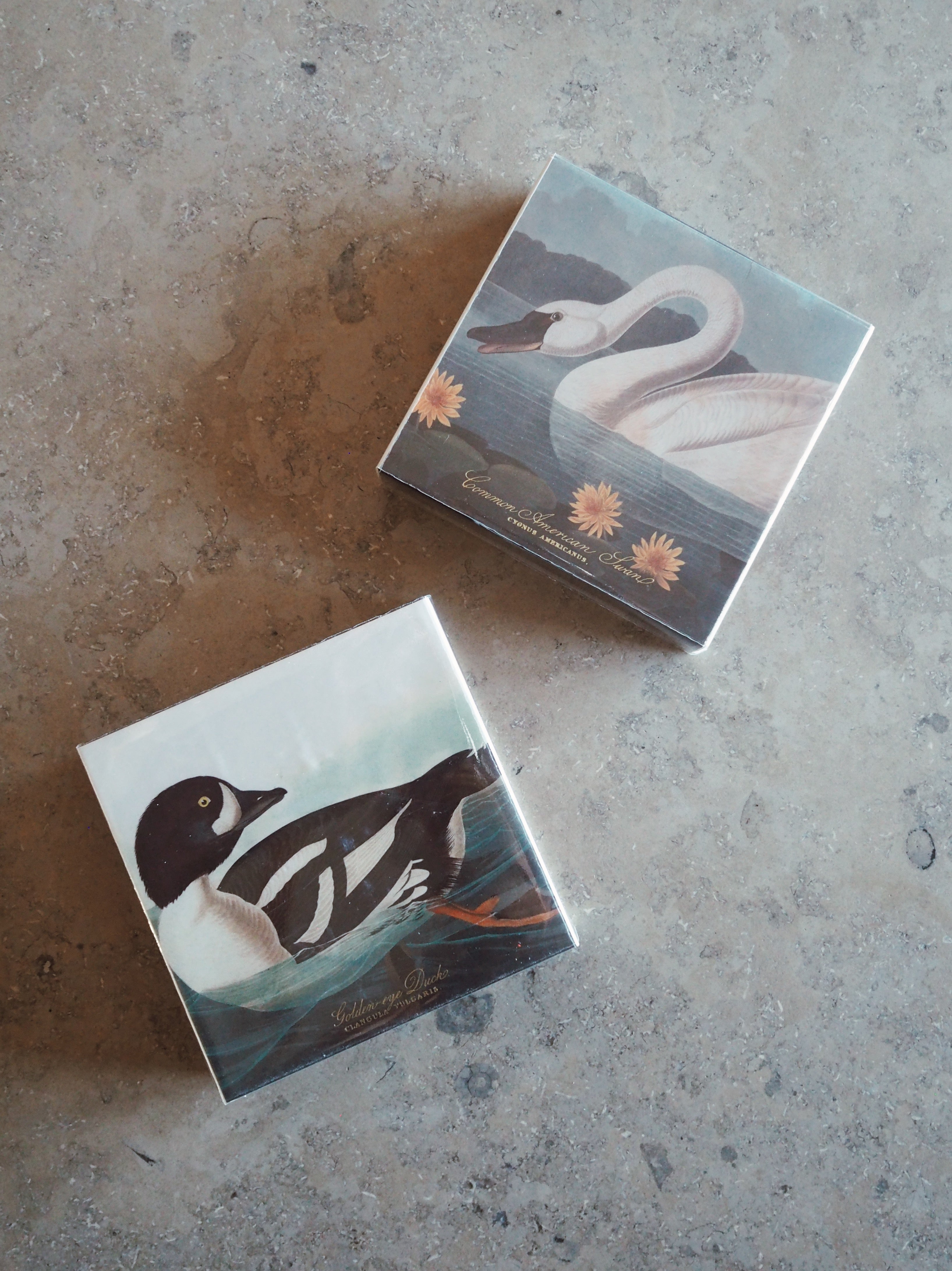 Archivist Common American Swan Tändstickor