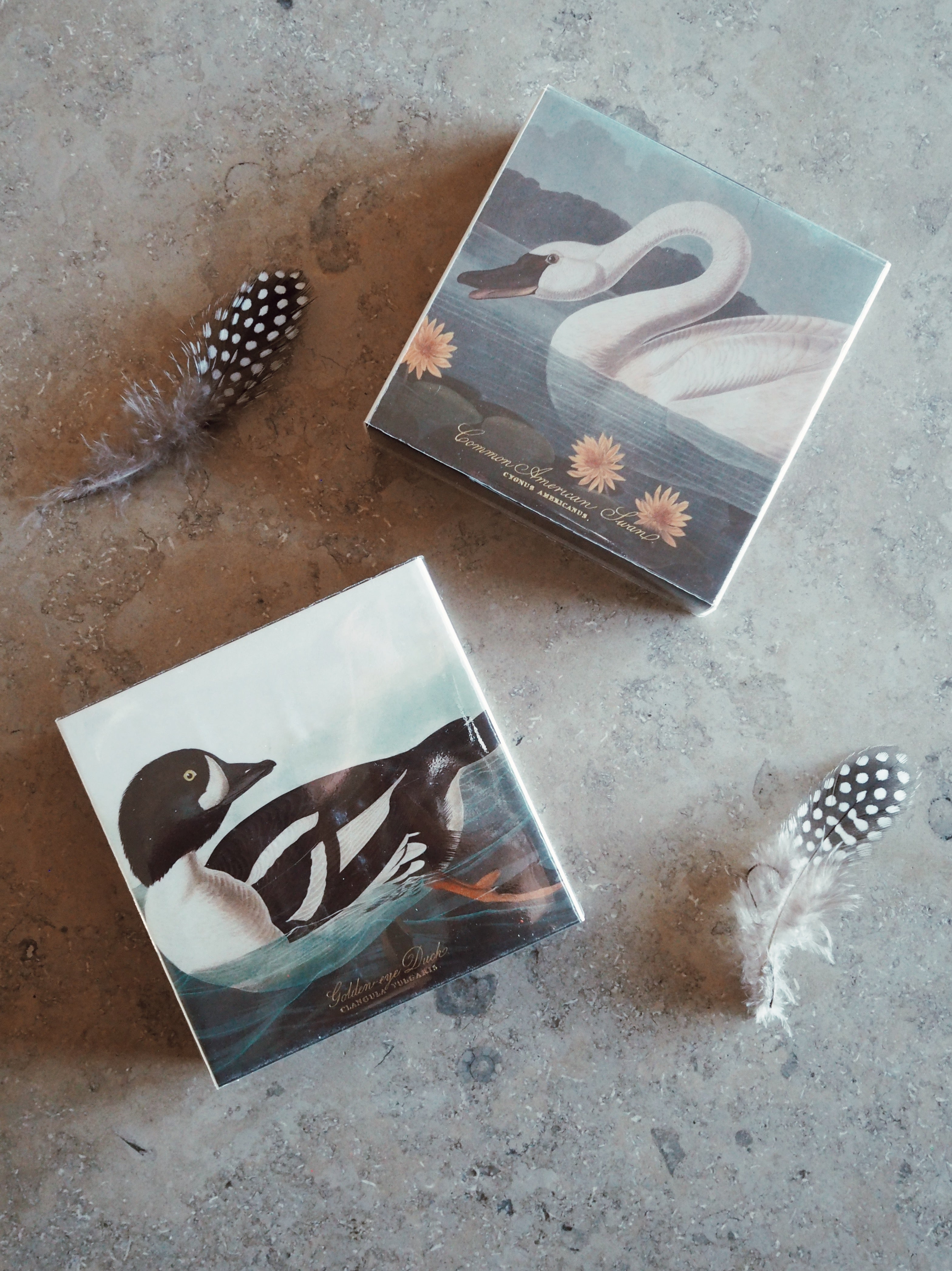 Archivist Golden-Eye Duck Tändstickor