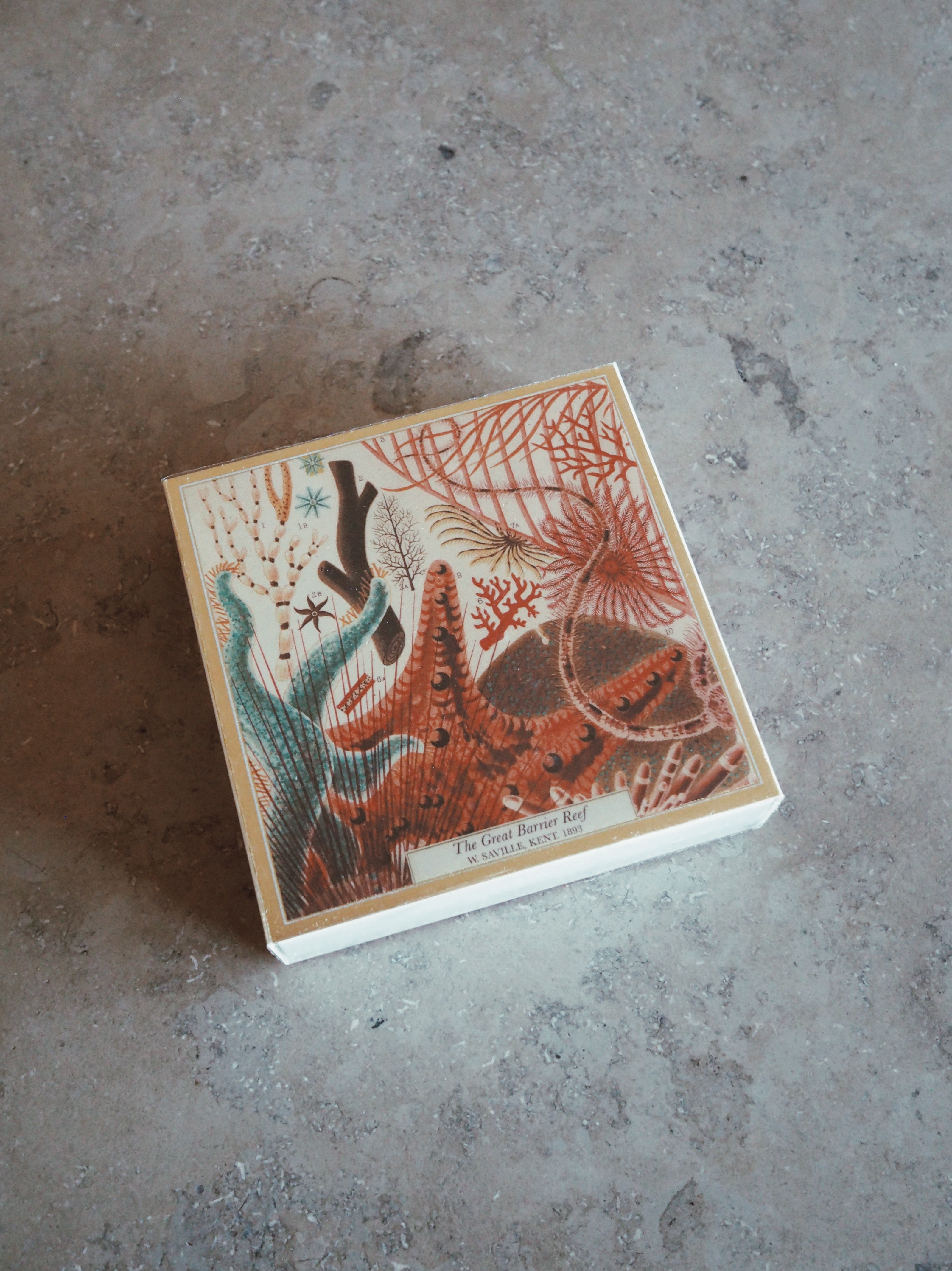 Archivist Great Barrier Reef Matches Tändstickor