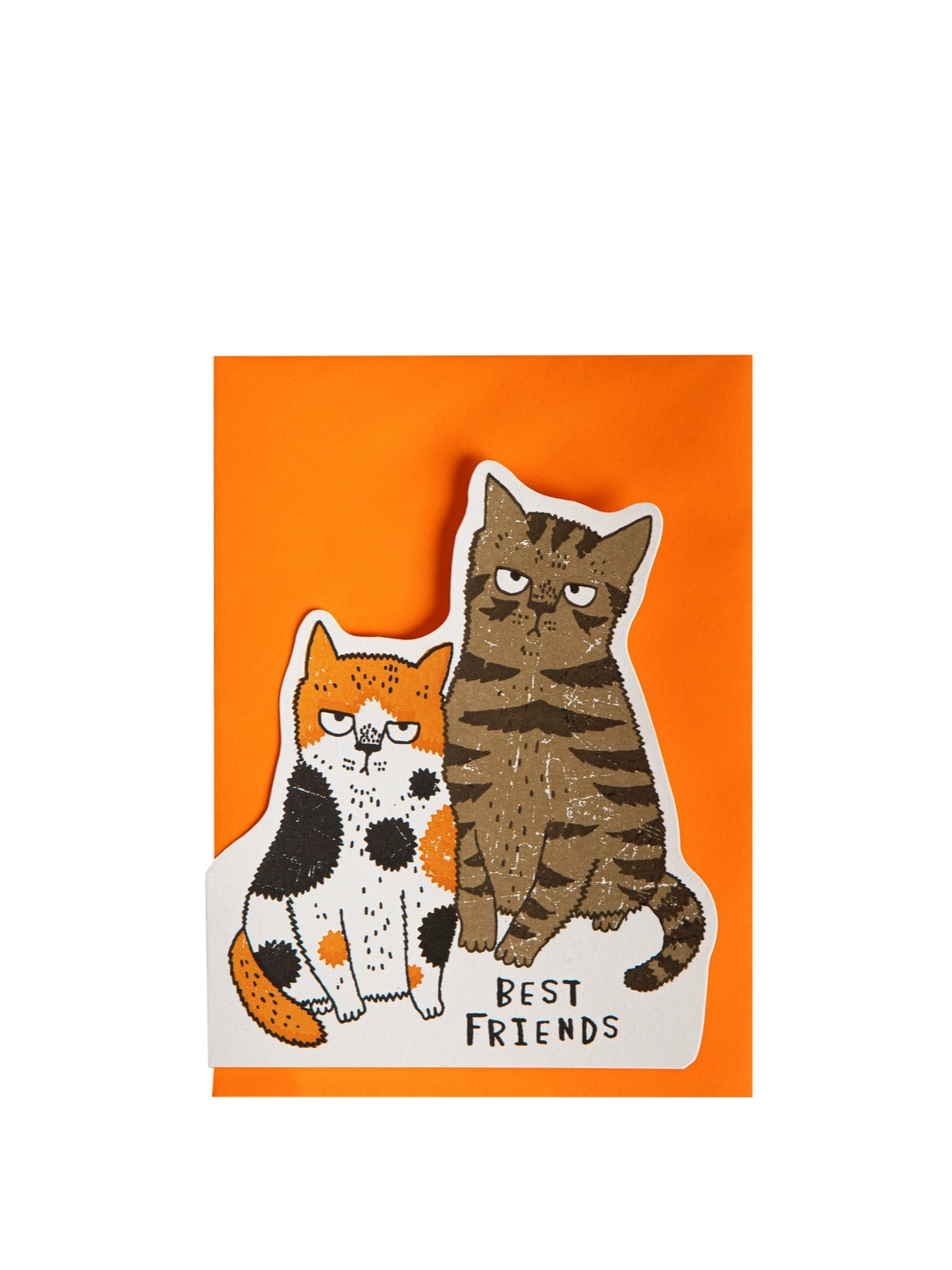 Archivist Grumpy Cat Kort