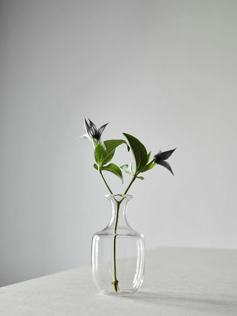 Tell Me More Como Vas Small