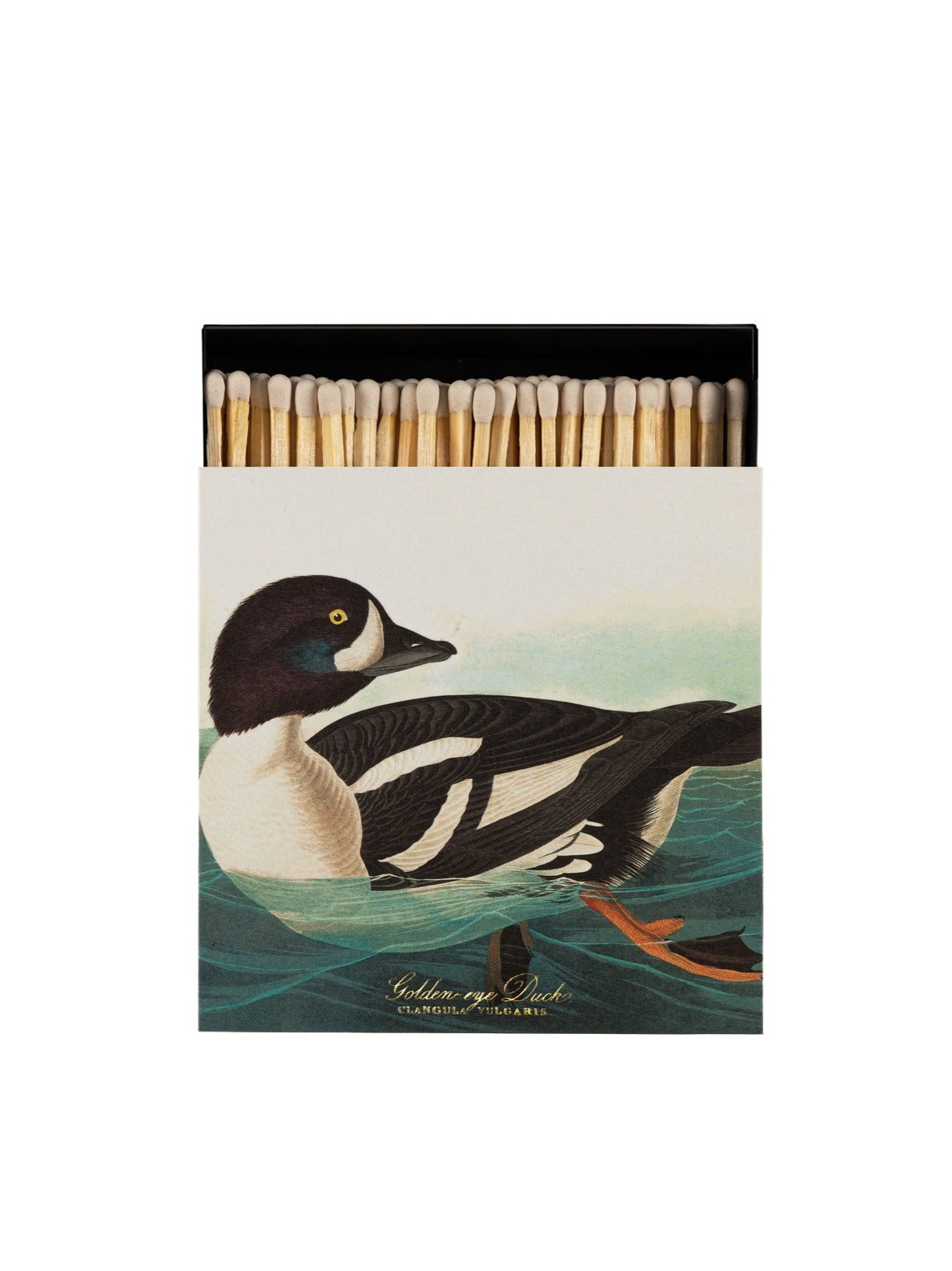 Archivist Golden-Eye Duck Tändstickor