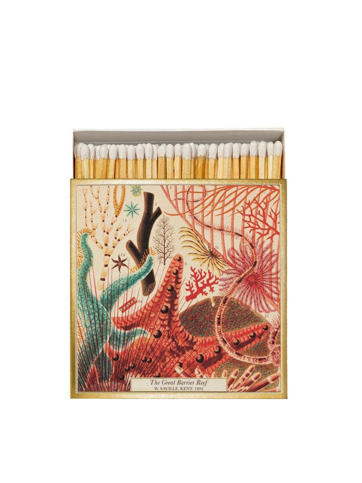 Archivist Great Barrier Reef Matches Tändstickor