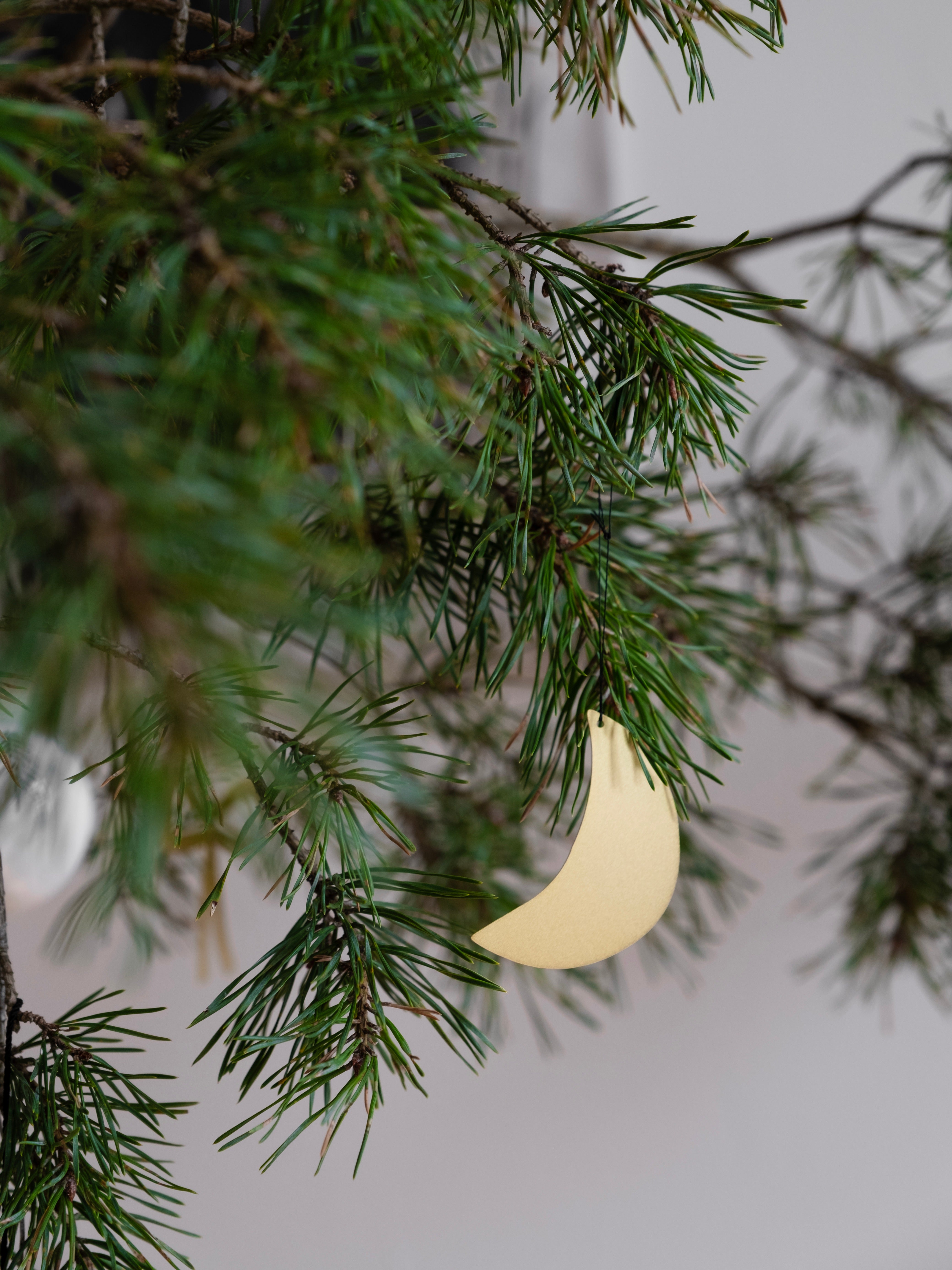 Fine Little Day Moon Julgranshänge Måne